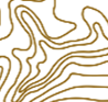 Topo Lines Icon